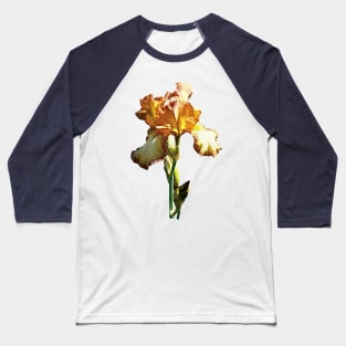 Irises - Golden Irises Baseball T-Shirt